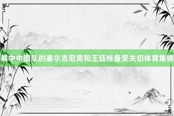其中中国队的塞尔吉尼奥和王钰栋备受关切体育集锦