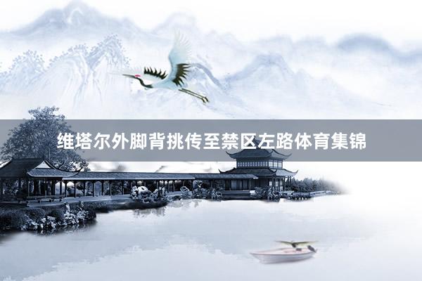 维塔尔外脚背挑传至禁区左路体育集锦