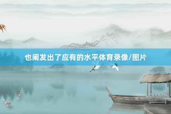 也阐发出了应有的水平体育录像/图片