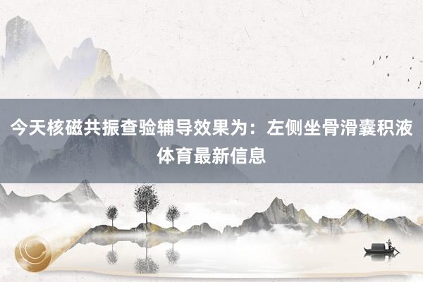 今天核磁共振查验辅导效果为：左侧坐骨滑囊积液体育最新信息