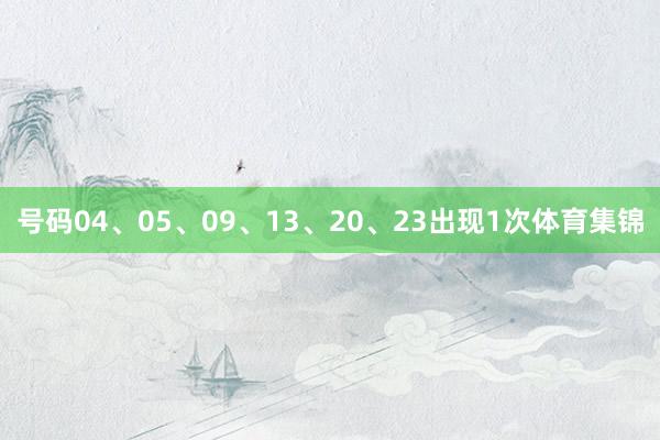 号码04、05、09、13、20、23出现1次体育集锦