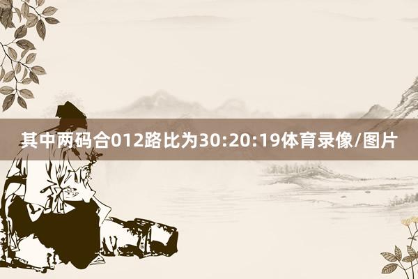 其中两码合012路比为30:20:19体育录像/图片