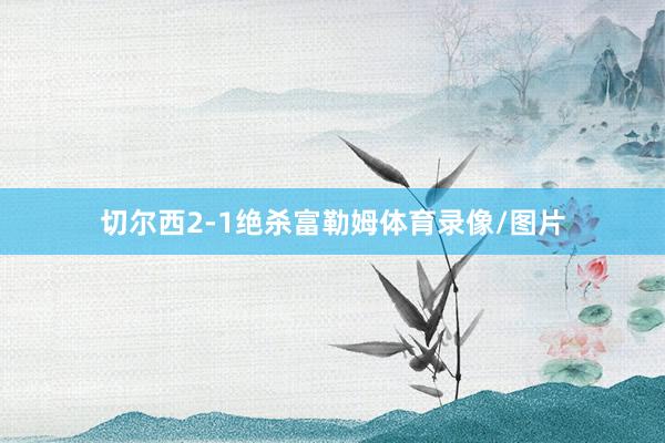 切尔西2-1绝杀富勒姆体育录像/图片