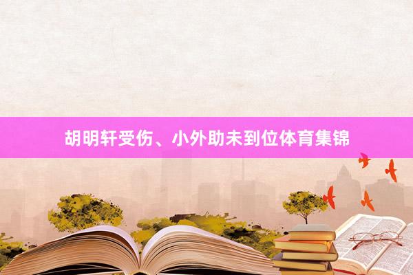 胡明轩受伤、小外助未到位体育集锦