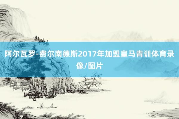 阿尔瓦罗-费尔南德斯2017年加盟皇马青训体育录像/图片