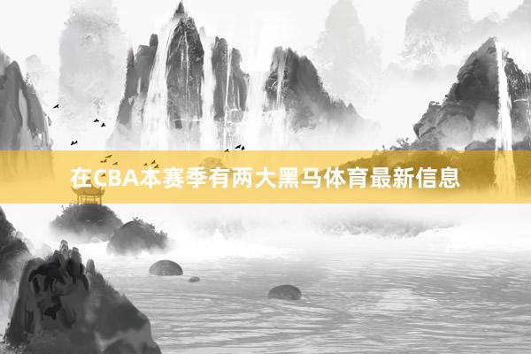 在CBA本赛季有两大黑马体育最新信息