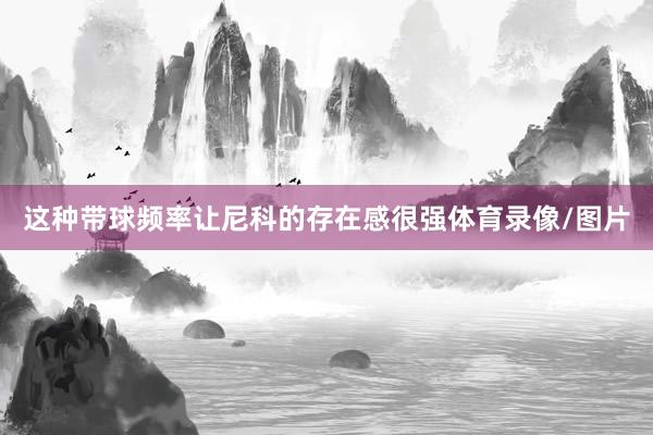 这种带球频率让尼科的存在感很强体育录像/图片