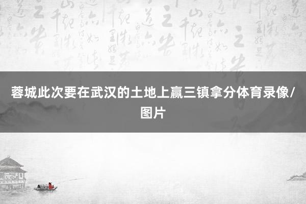蓉城此次要在武汉的土地上赢三镇拿分体育录像/图片