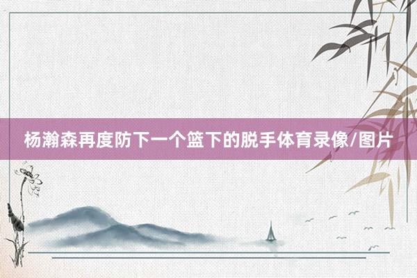 杨瀚森再度防下一个篮下的脱手体育录像/图片