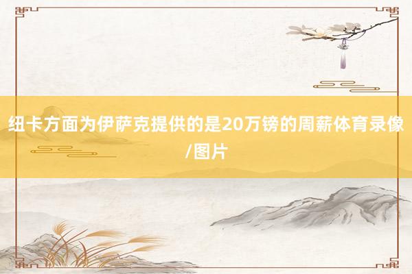 纽卡方面为伊萨克提供的是20万镑的周薪体育录像/图片