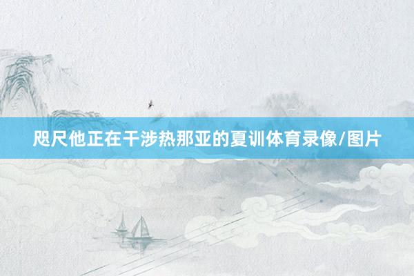 咫尺他正在干涉热那亚的夏训体育录像/图片