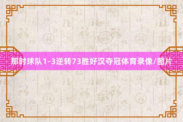 那时球队1-3逆转73胜好汉夺冠体育录像/图片