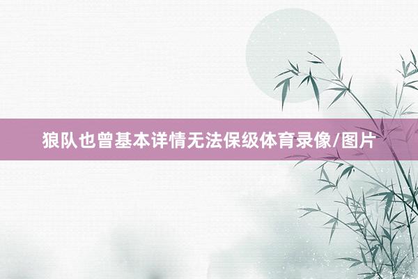 狼队也曾基本详情无法保级体育录像/图片