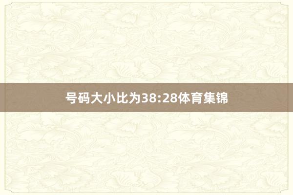 号码大小比为38:28体育集锦