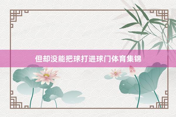 但却没能把球打进球门体育集锦