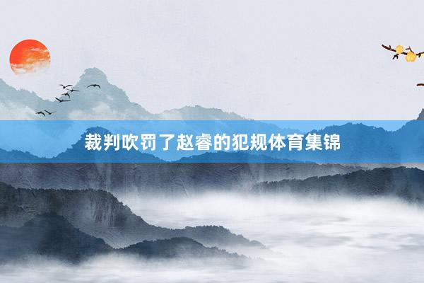 裁判吹罚了赵睿的犯规体育集锦