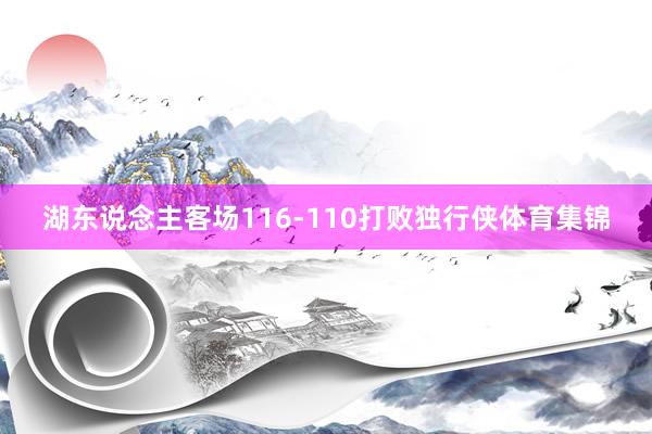 湖东说念主客场116-110打败独行侠体育集锦