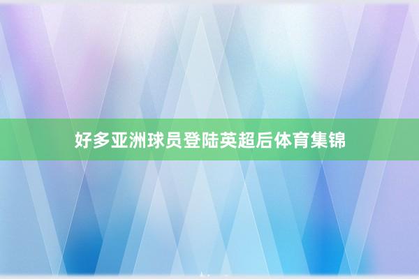 好多亚洲球员登陆英超后体育集锦
