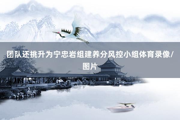 团队还挑升为宁忠岩组建养分风控小组体育录像/图片