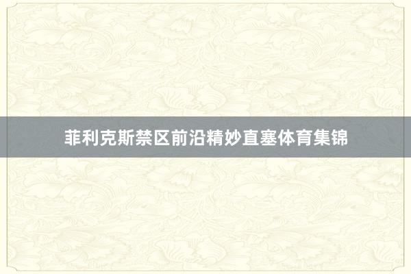菲利克斯禁区前沿精妙直塞体育集锦