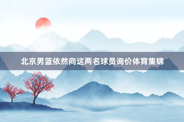 北京男篮依然向这两名球员询价体育集锦